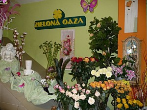 kwiaciarnia-zielona-oaza-brzozow (9) (1)